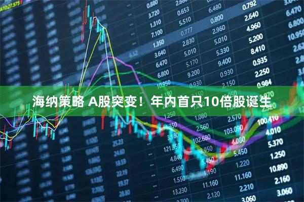 海纳策略 A股突变！年内首只10倍股诞生
