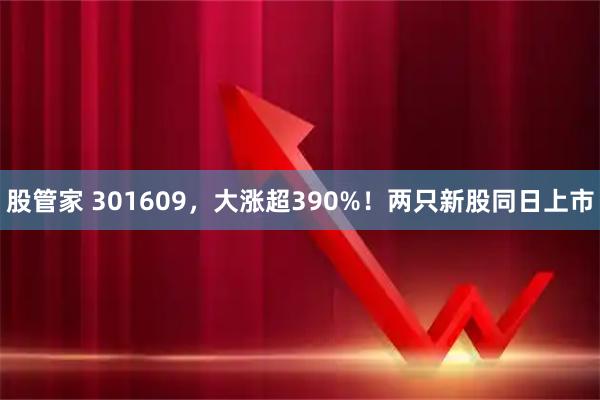 股管家 301609，大涨超390%！两只新股同日上市