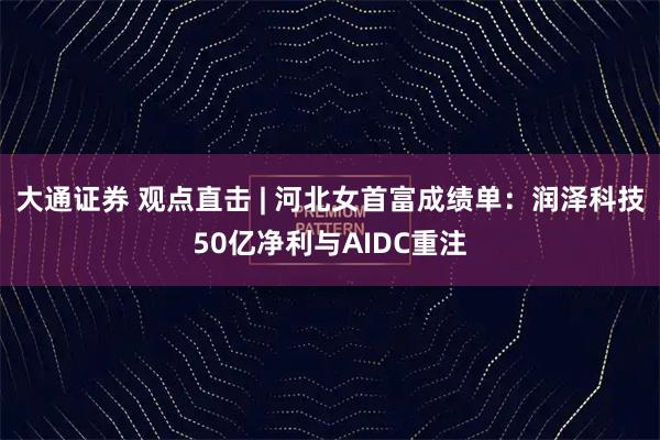 大通证券 观点直击 | 河北女首富成绩单：润泽科技50亿净利与AIDC重注